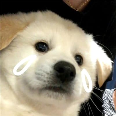 ลำไย ไหทองคำ avatar